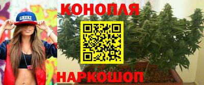 mdpv Новозыбков