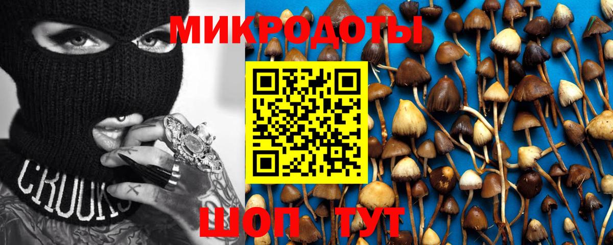 Галлюциногенные грибы ЛСД Татарск