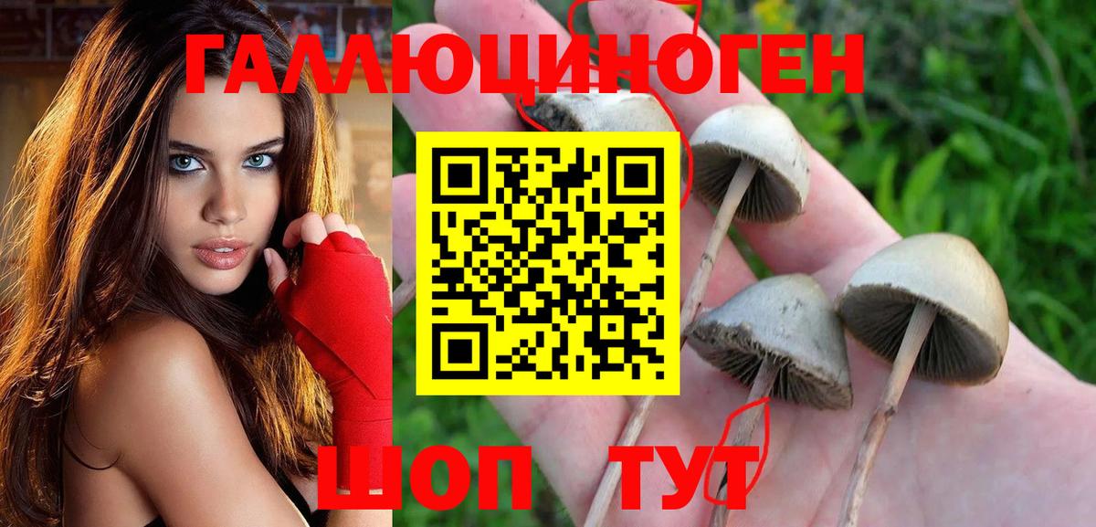 Псилоцибиновые грибы Татарск