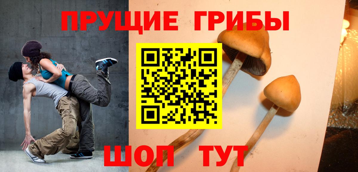 МЕФ кристаллы  Гашиш  COCAIN  Метамфетамин  Татарск  Вход с VPN  МАРИХУАНА  НБОМе 
